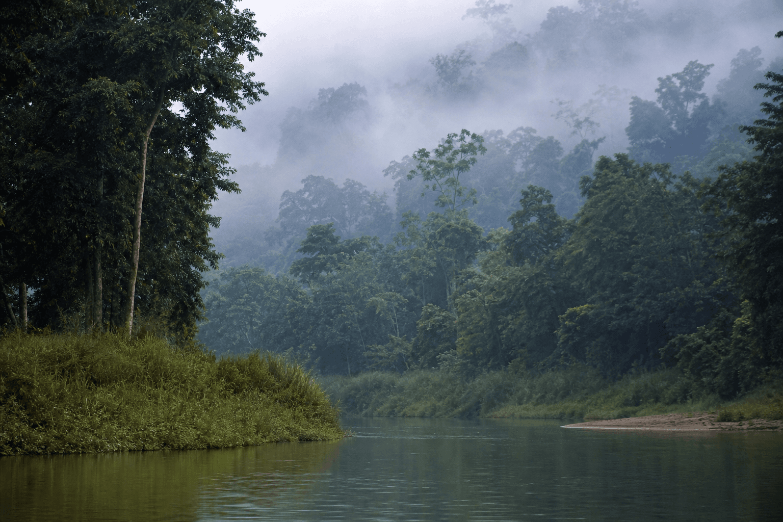 Misty jungle river in Chitwan